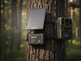 spypoint solar panel and battery kit: Complete Guide 2026